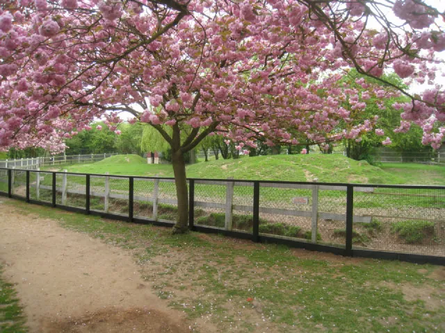 Linton Zoo Conservation Park