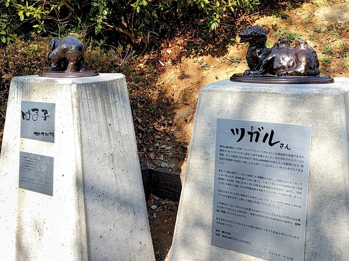 Nogeyama Zoo