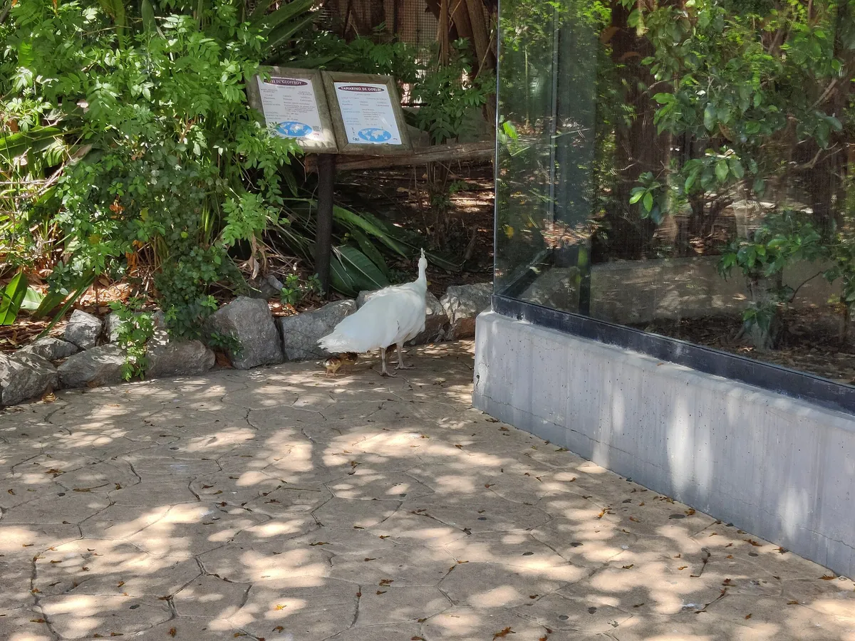 Zoobotánico Jerez