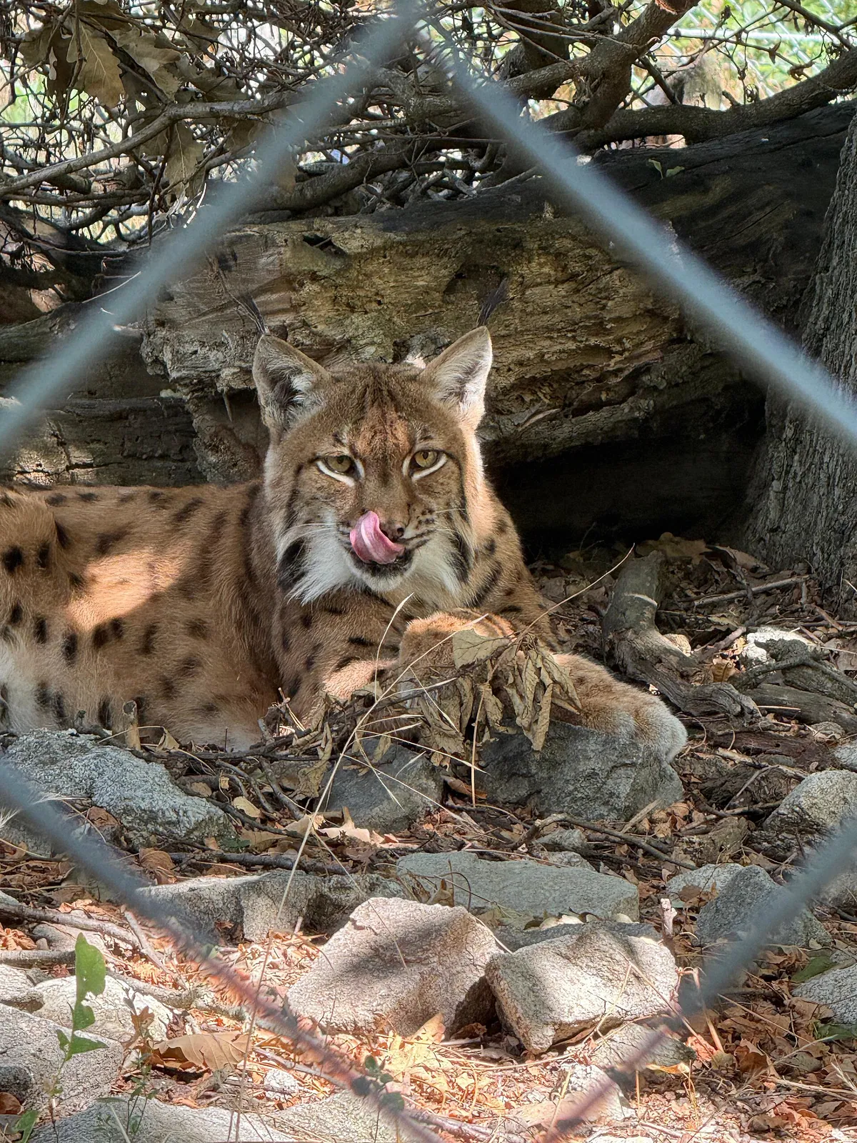 Bratislava Zoo