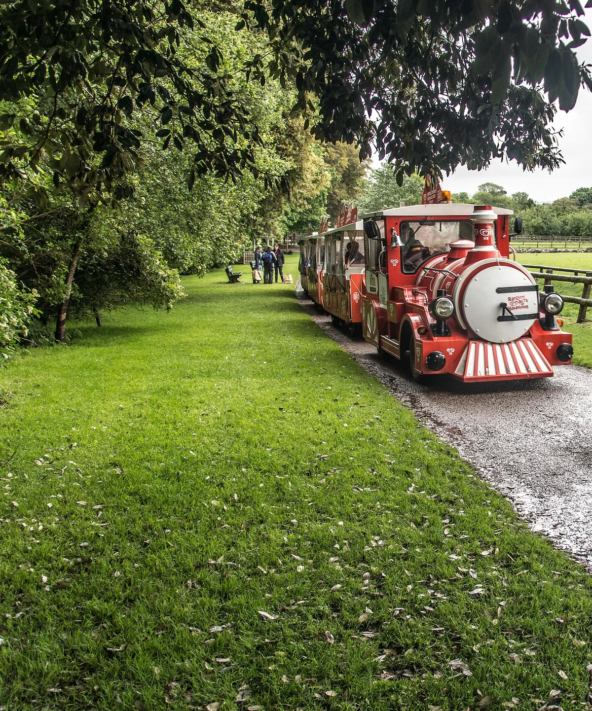 Fota Wildlife Park