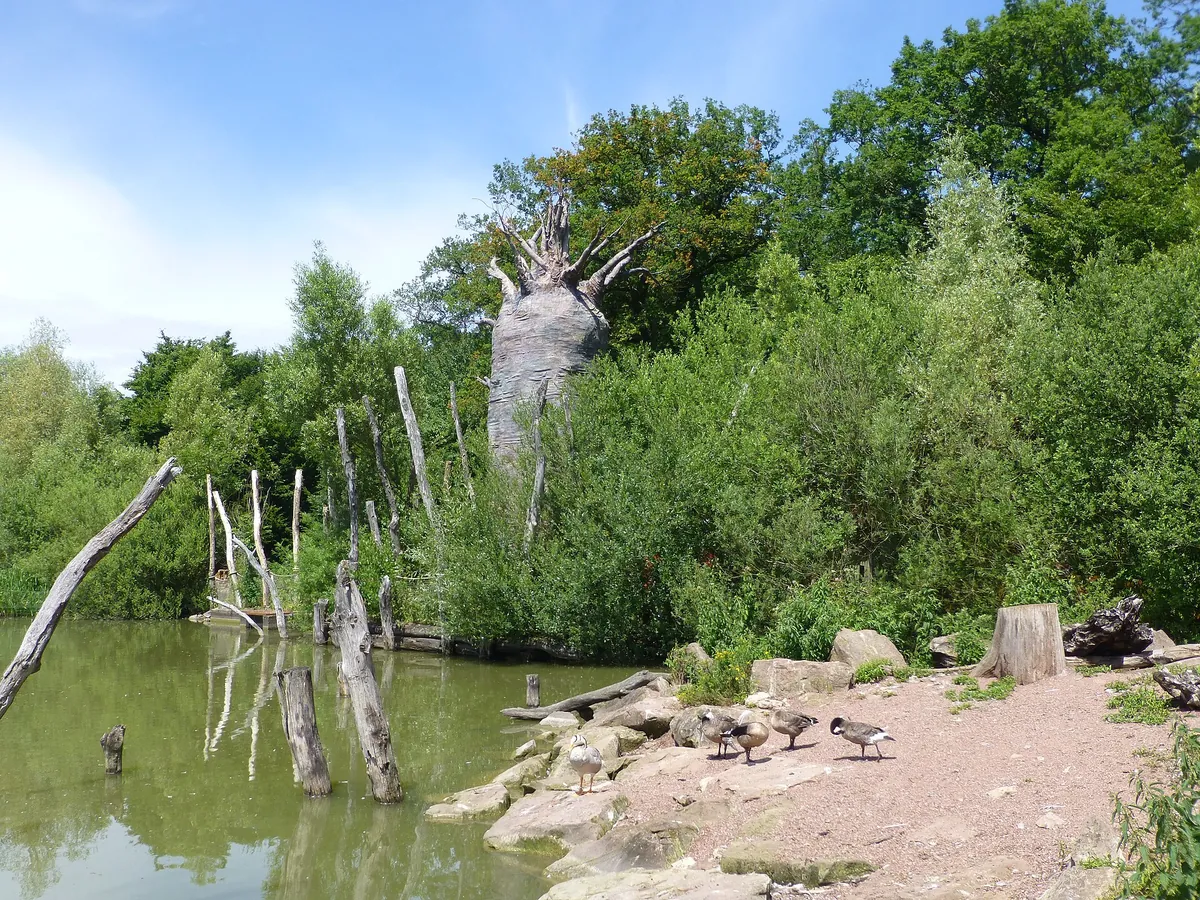 Parc animalier de Sainte-Croix