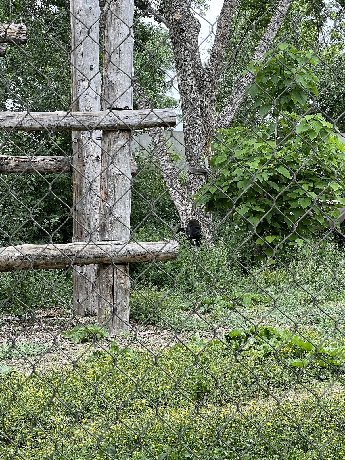 Denver Zoo