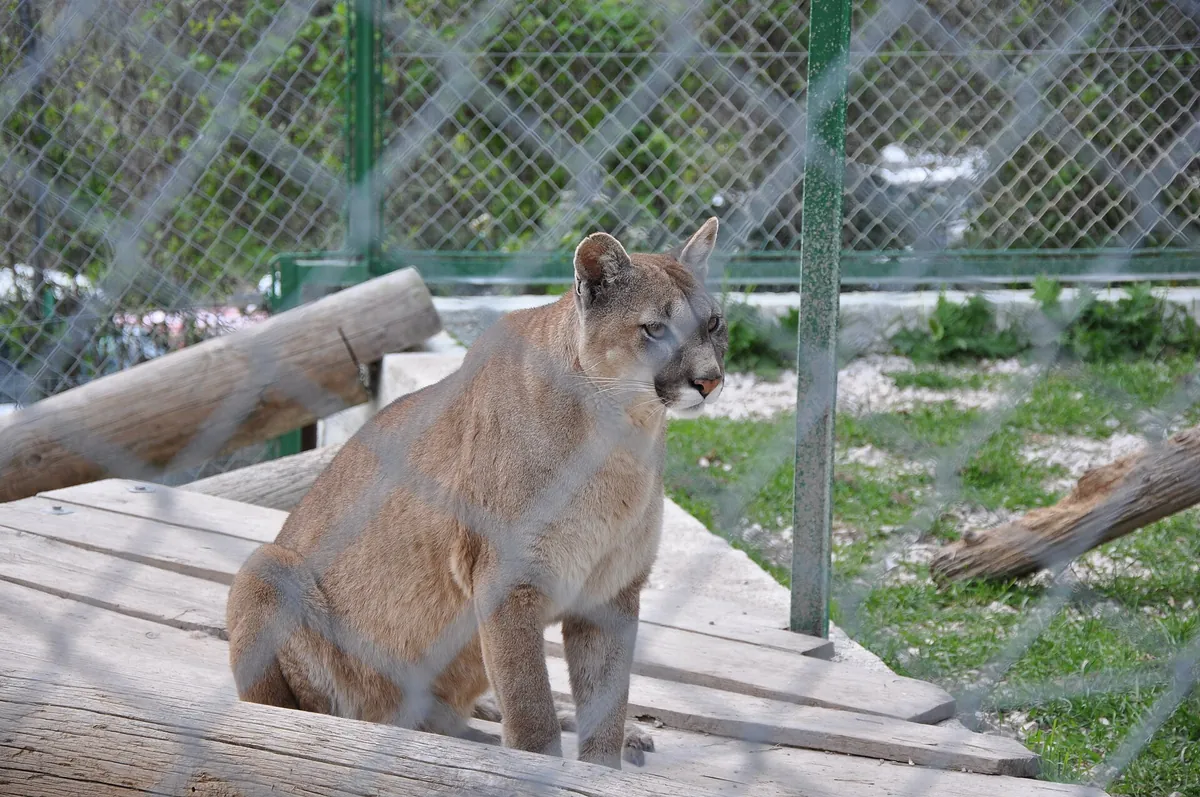 Zoo du Mont Faron