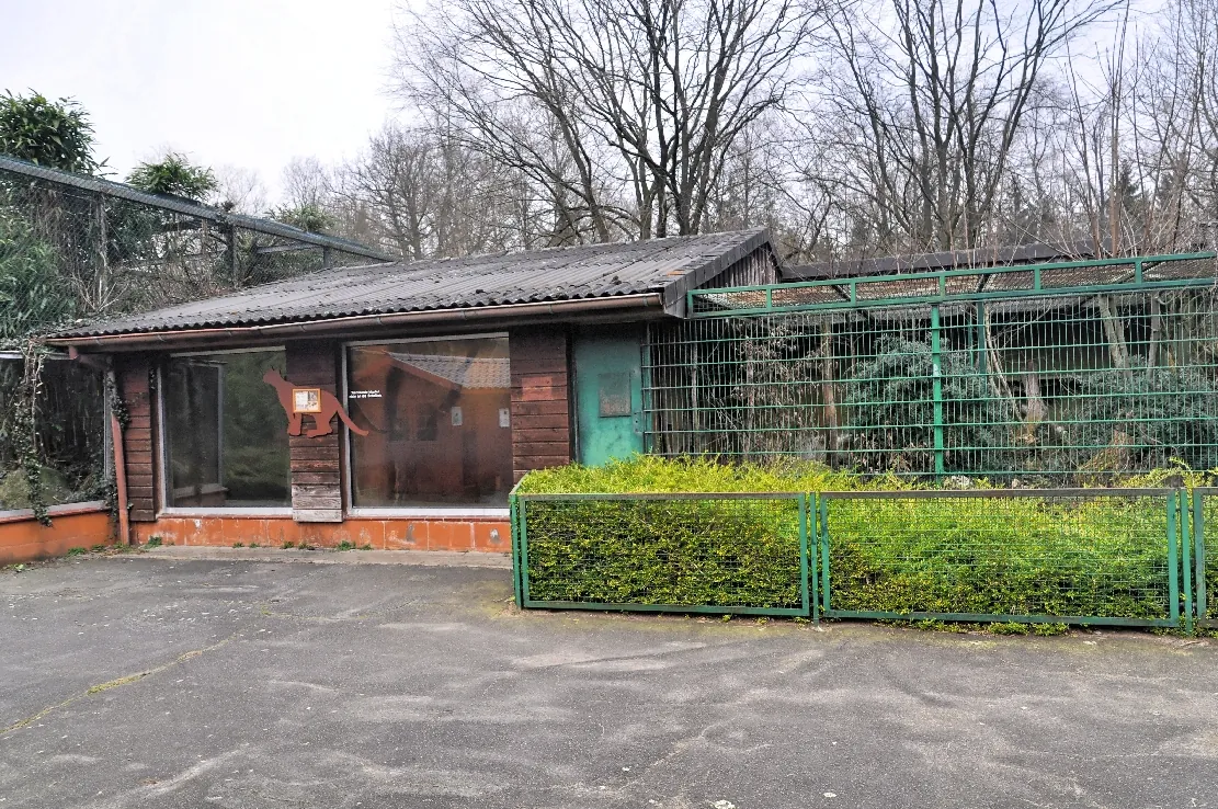 Wingster Waldzoo