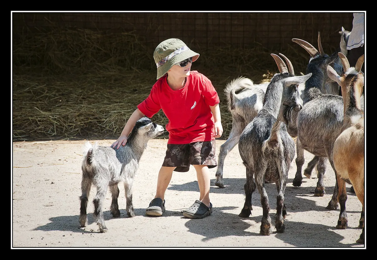 Elmvale Jungle Zoo