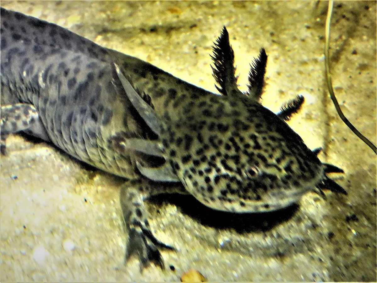 Bergen Aquarium