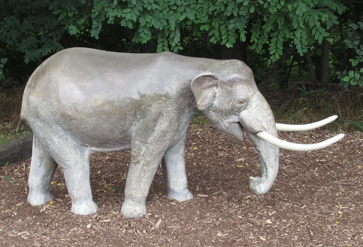 Thüringer Zoopark Erfurt
