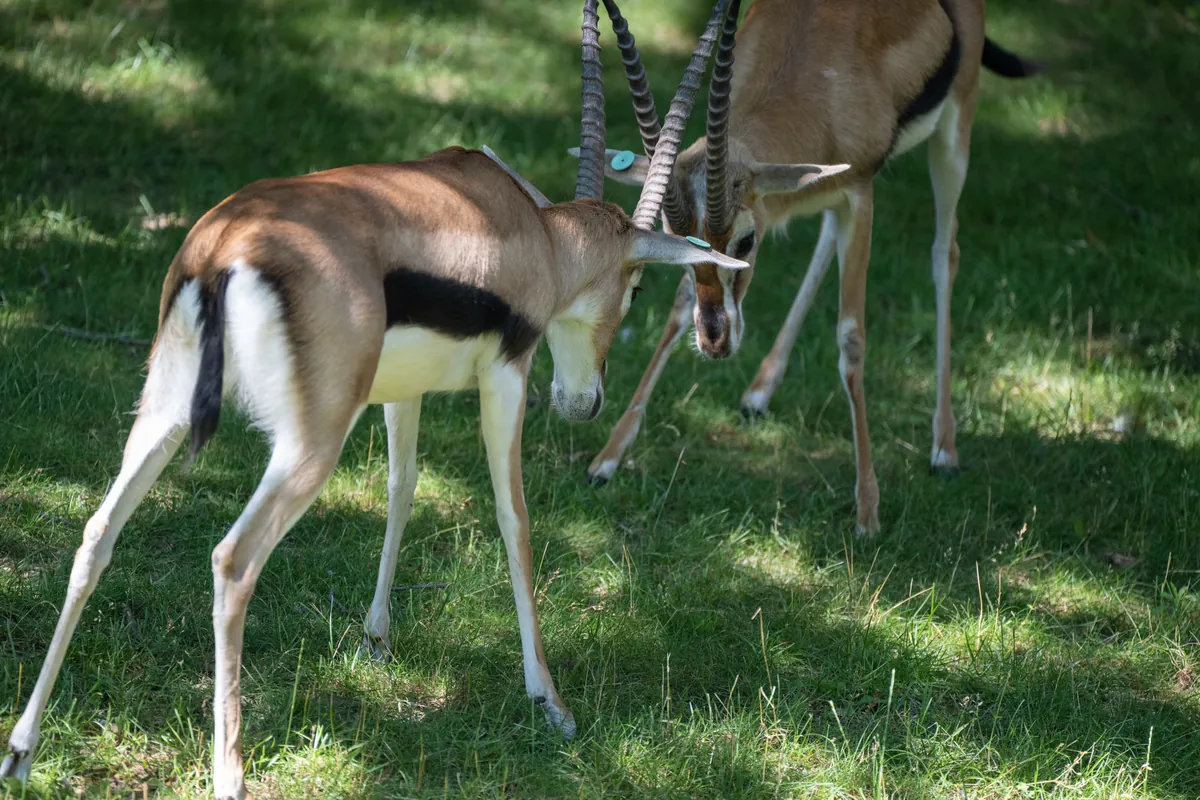 Milwaukee County Zoological Gardens