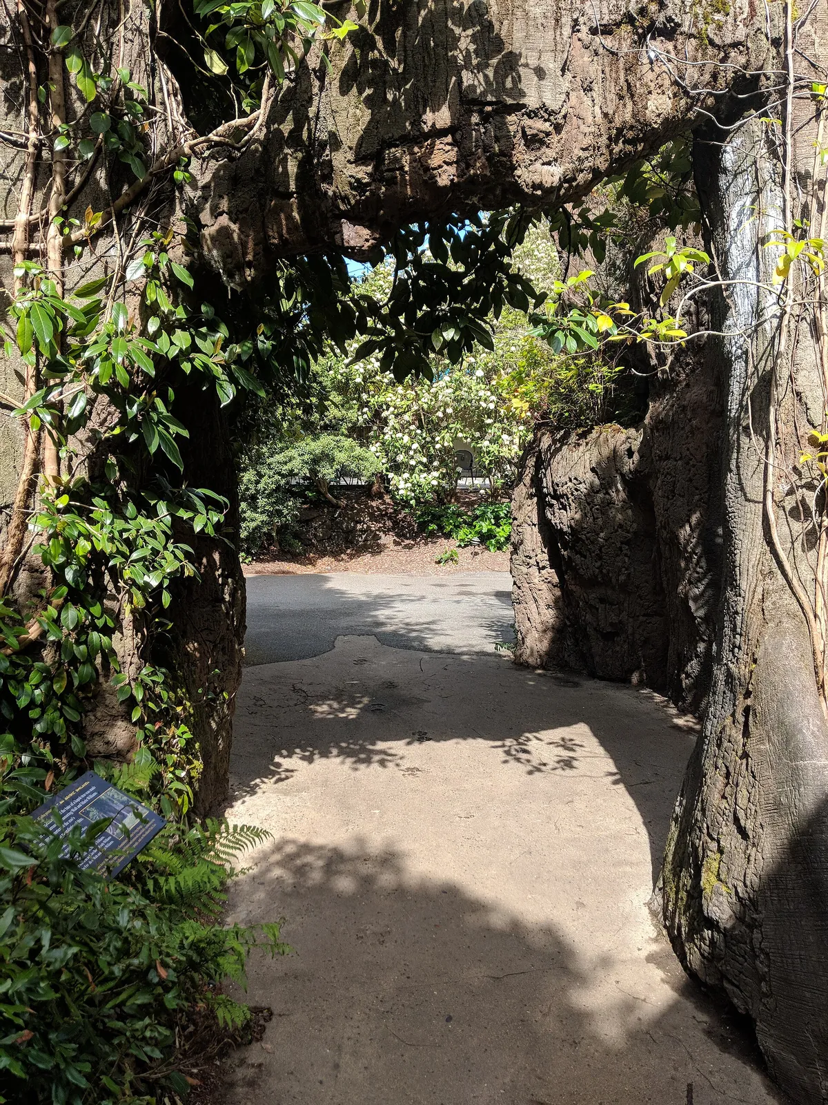 Woodland Park Zoo