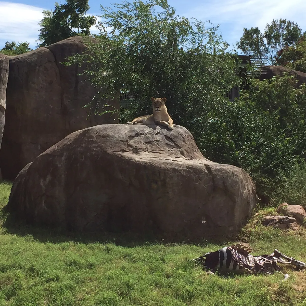 Sedgwick County Zoo