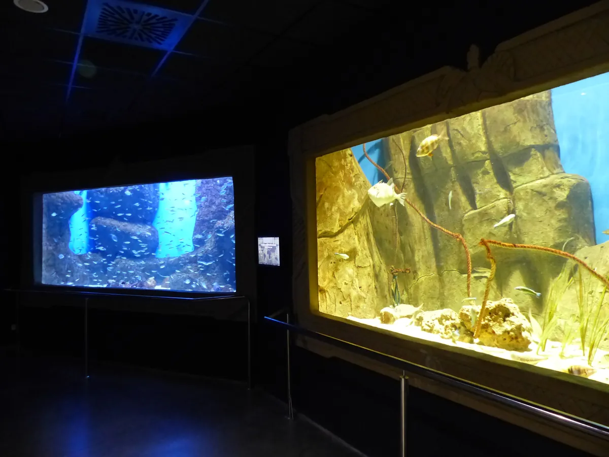 ACUARIO DE SEVILLA