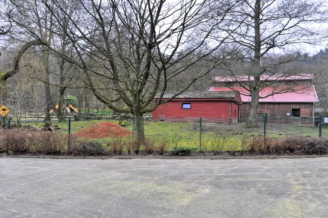 Wingster Waldzoo