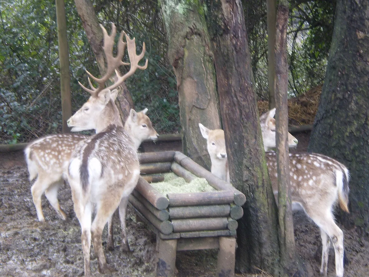 Zoológico de Concepción