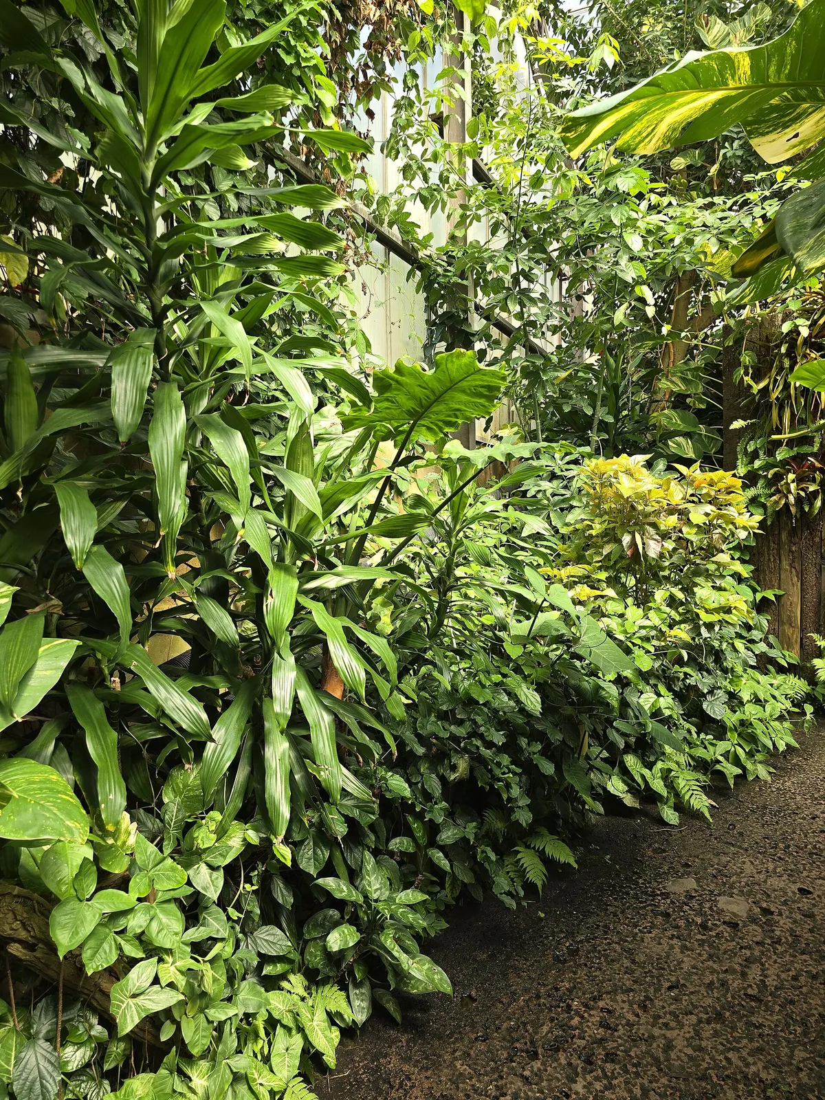Paignton Zoo Environmental Park