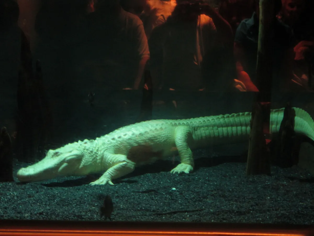 South Carolina Aquarium