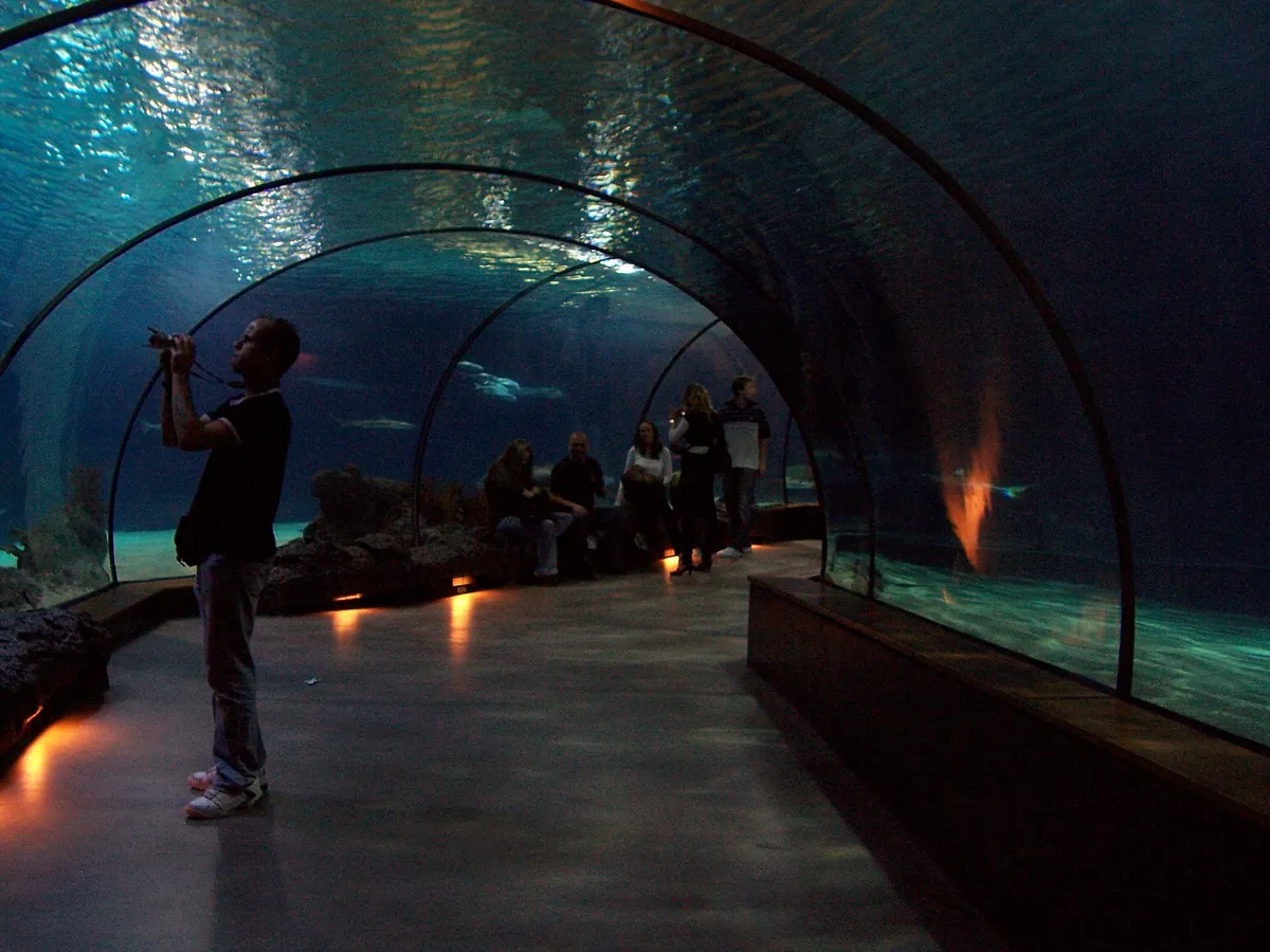 Oceanium