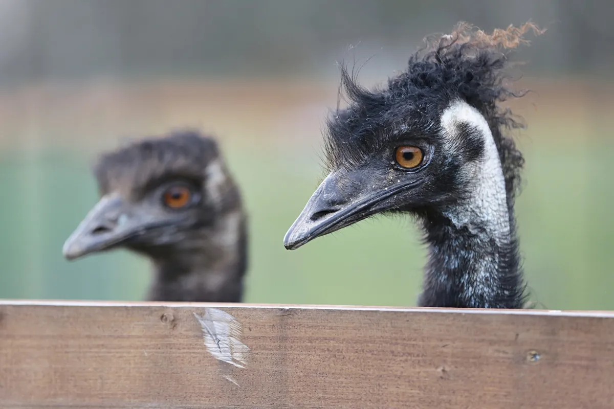 Zoopark Zelčín