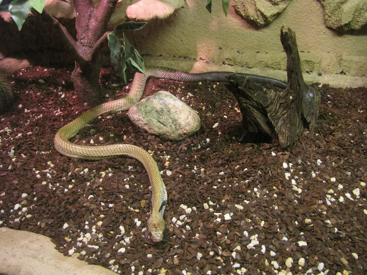 Tropicario