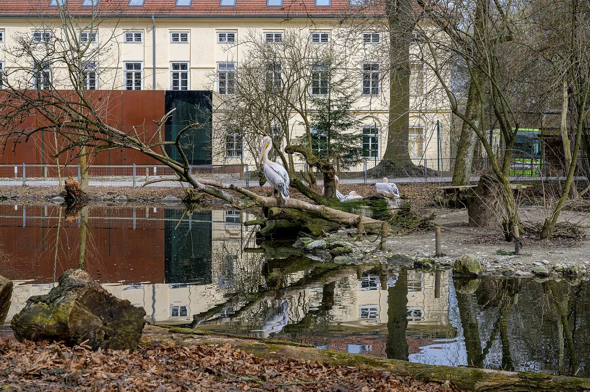 Tiergarten Wels