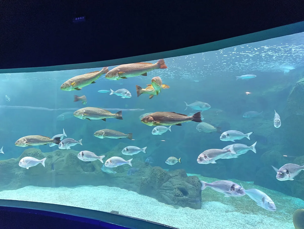 Cretaquarium