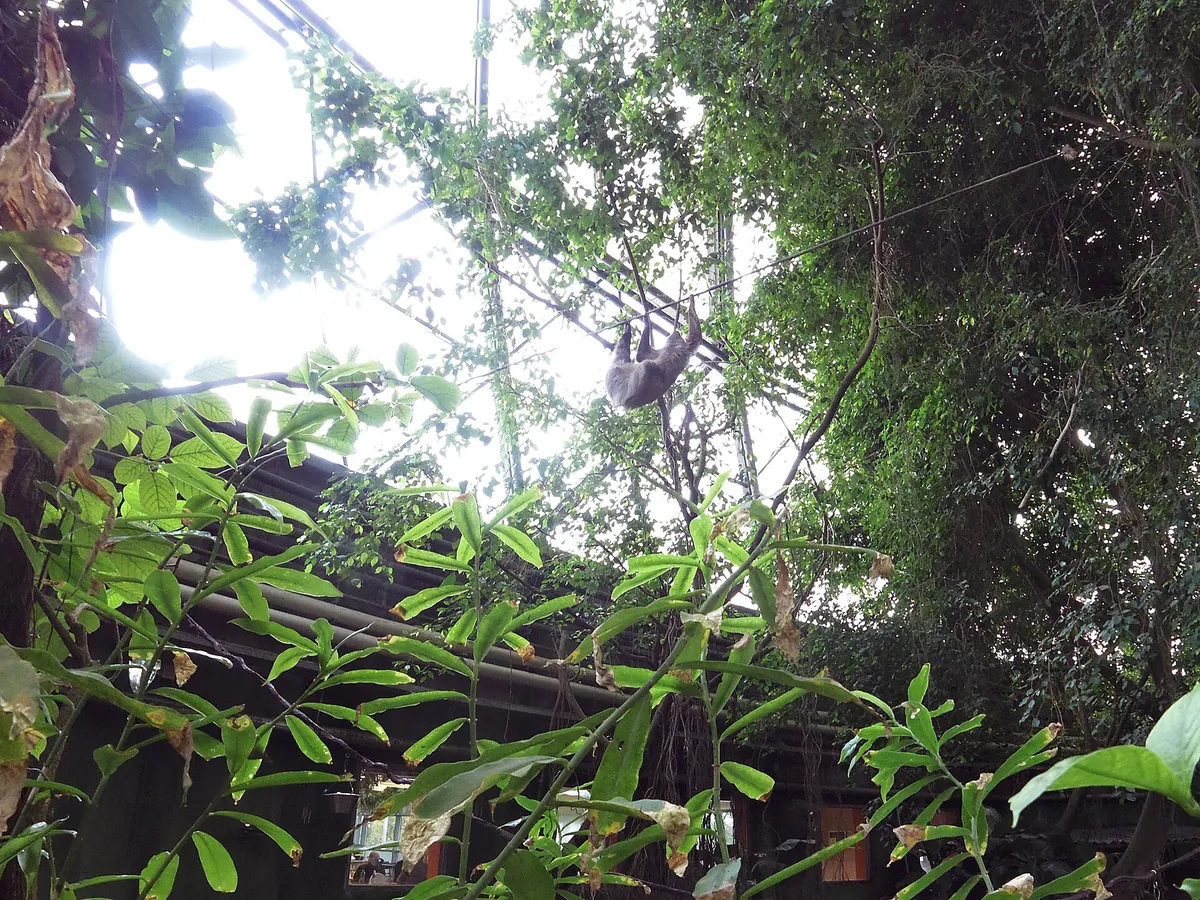 Randers Regnskov, Tropical Zoo