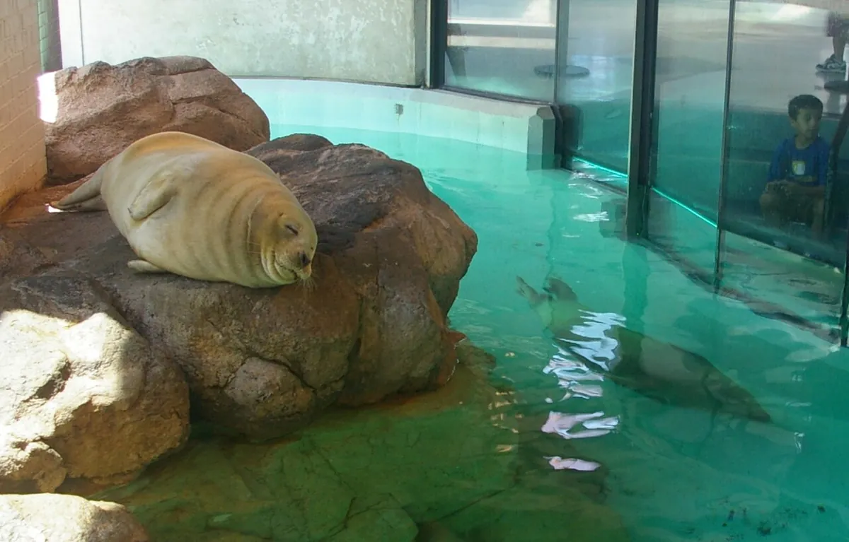 Maritime Aquarium at Norwalk