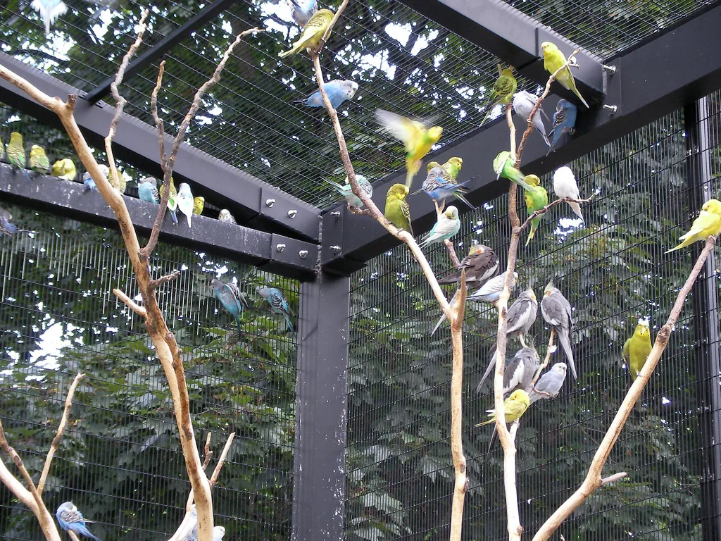 Racine Zoological Gardens