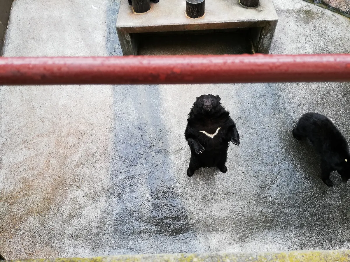 Okuhida Bear Park