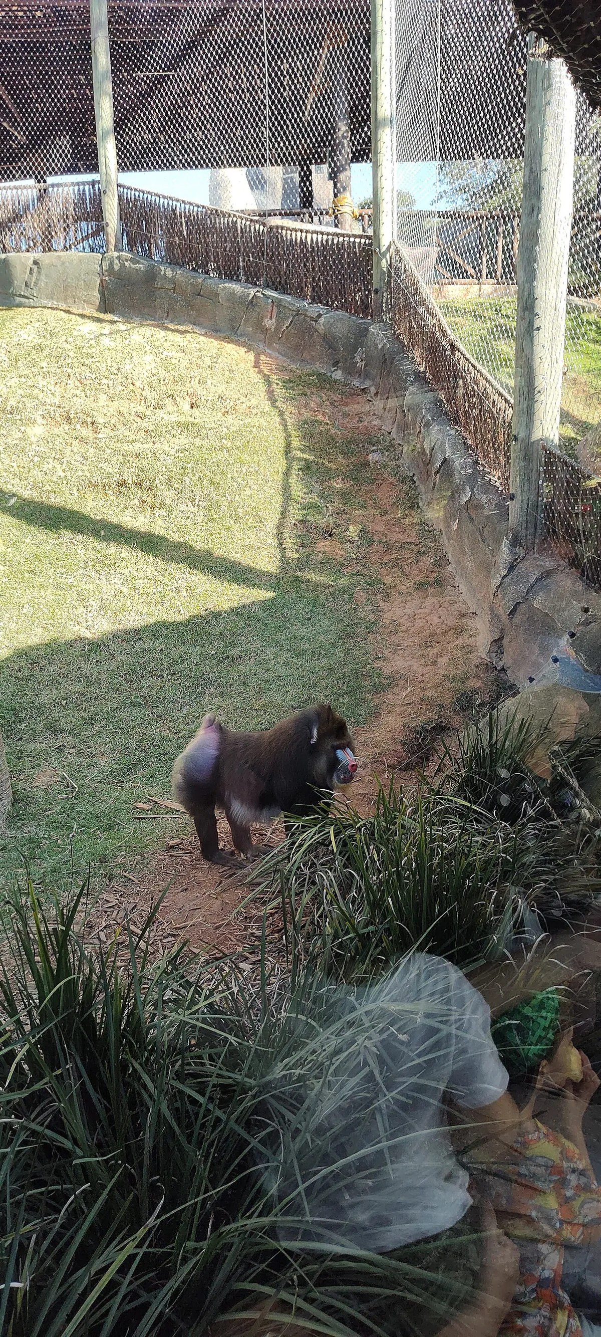 Animalia Reserva