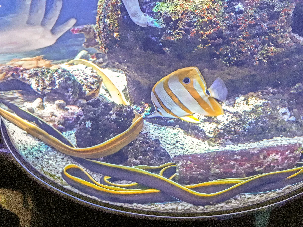 Oceanarium in Saint Petersburg