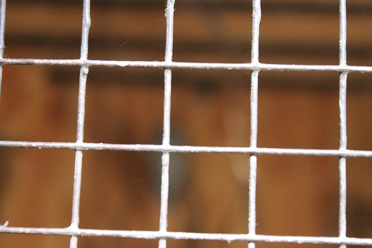 Lutsk Zoo