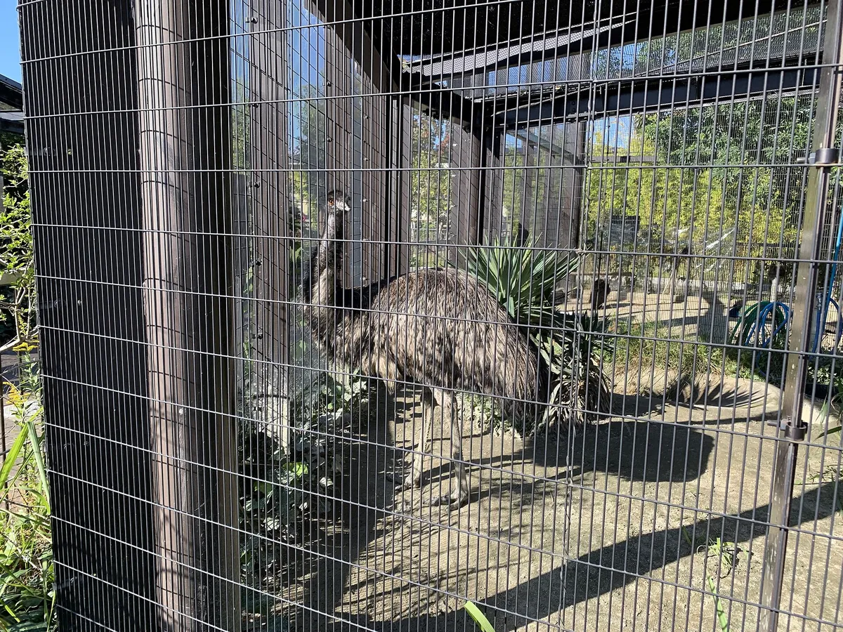 Kyoto City Zoo