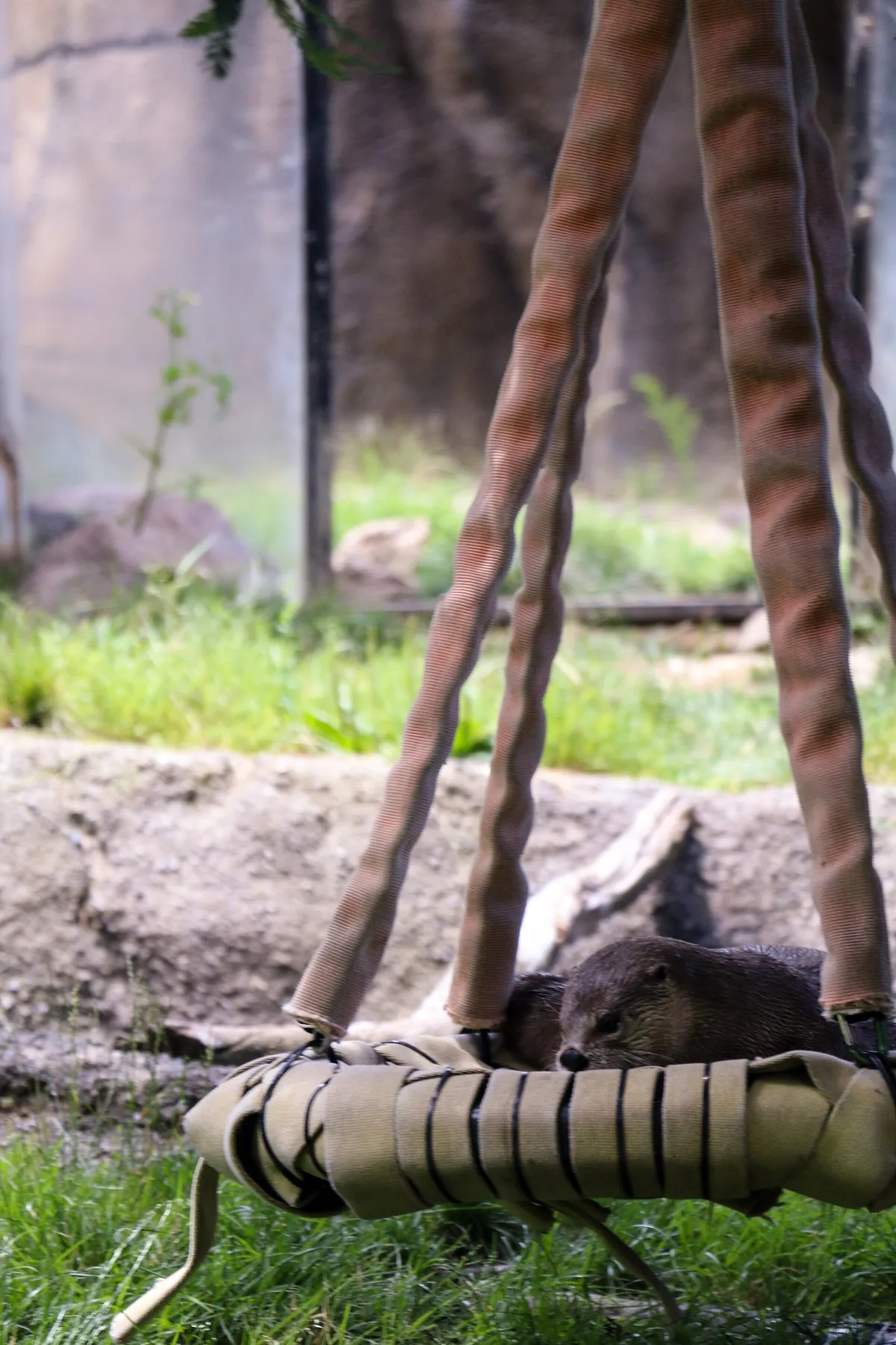 Oakland Zoo