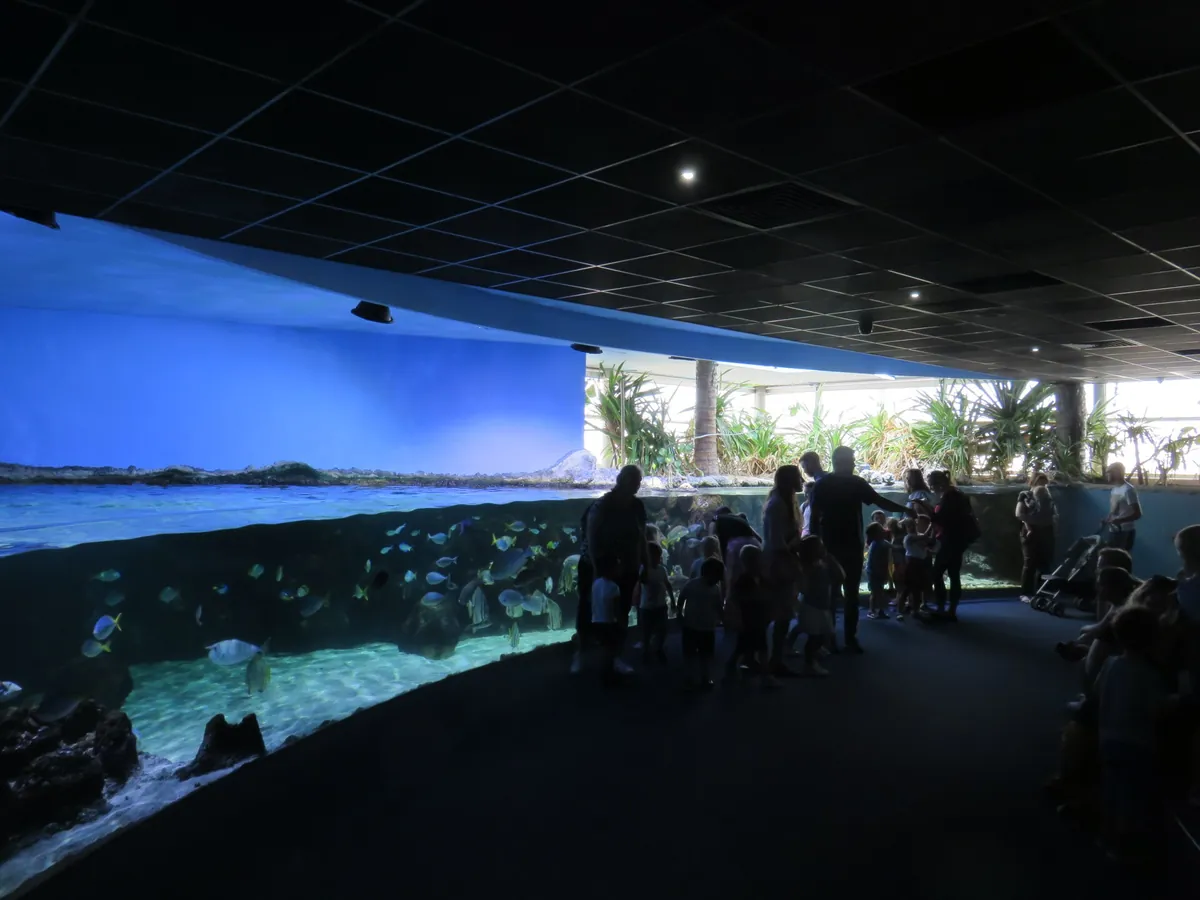 Aquarium de La Rochelle