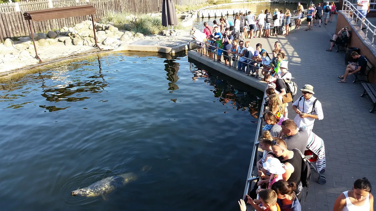 Seal Sanctuary in Hel