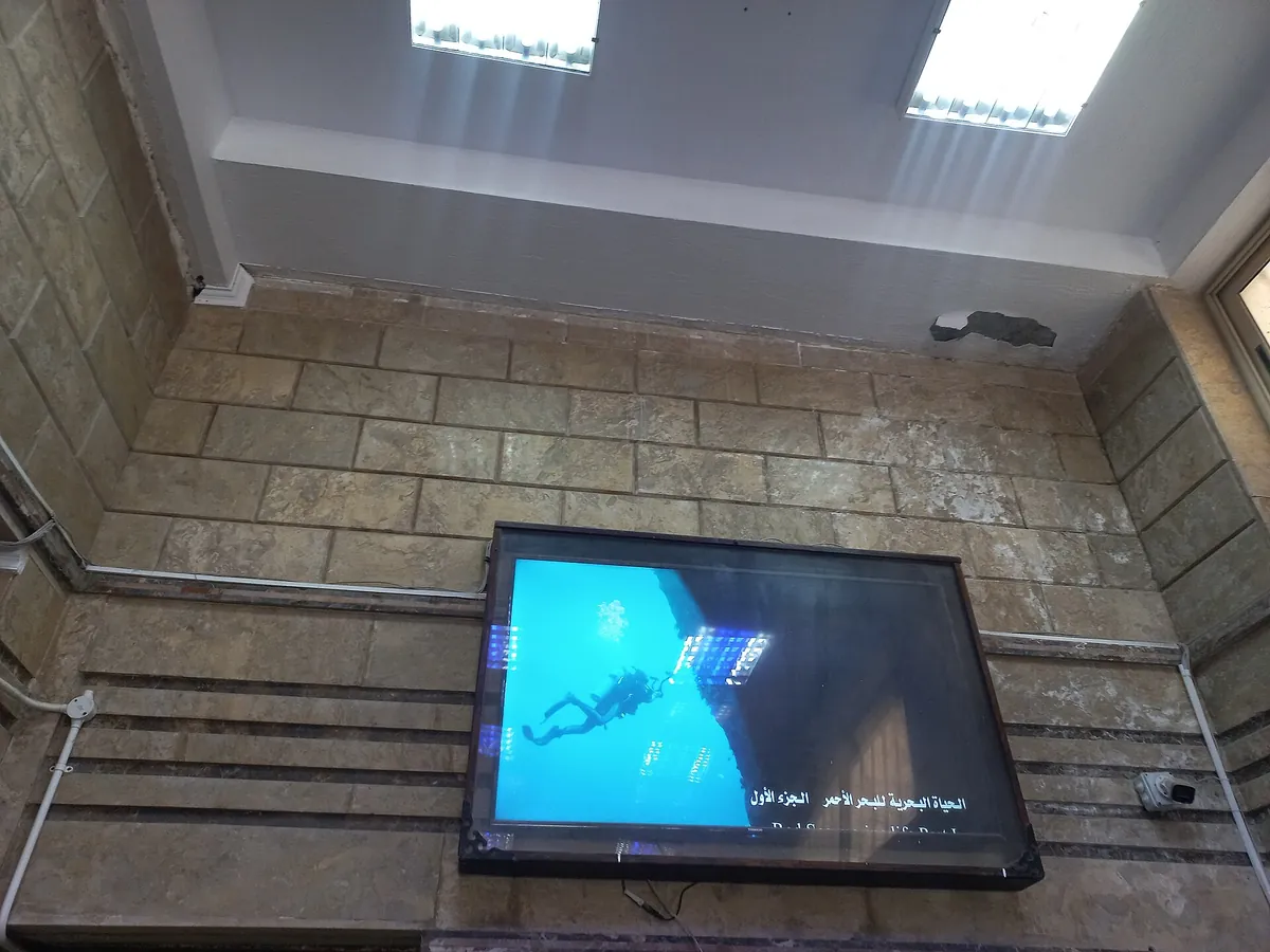 Alexandria Aquarium