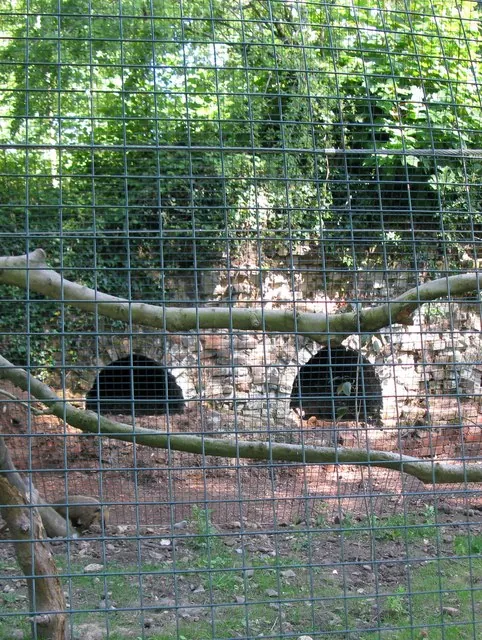 Amazona Zoo