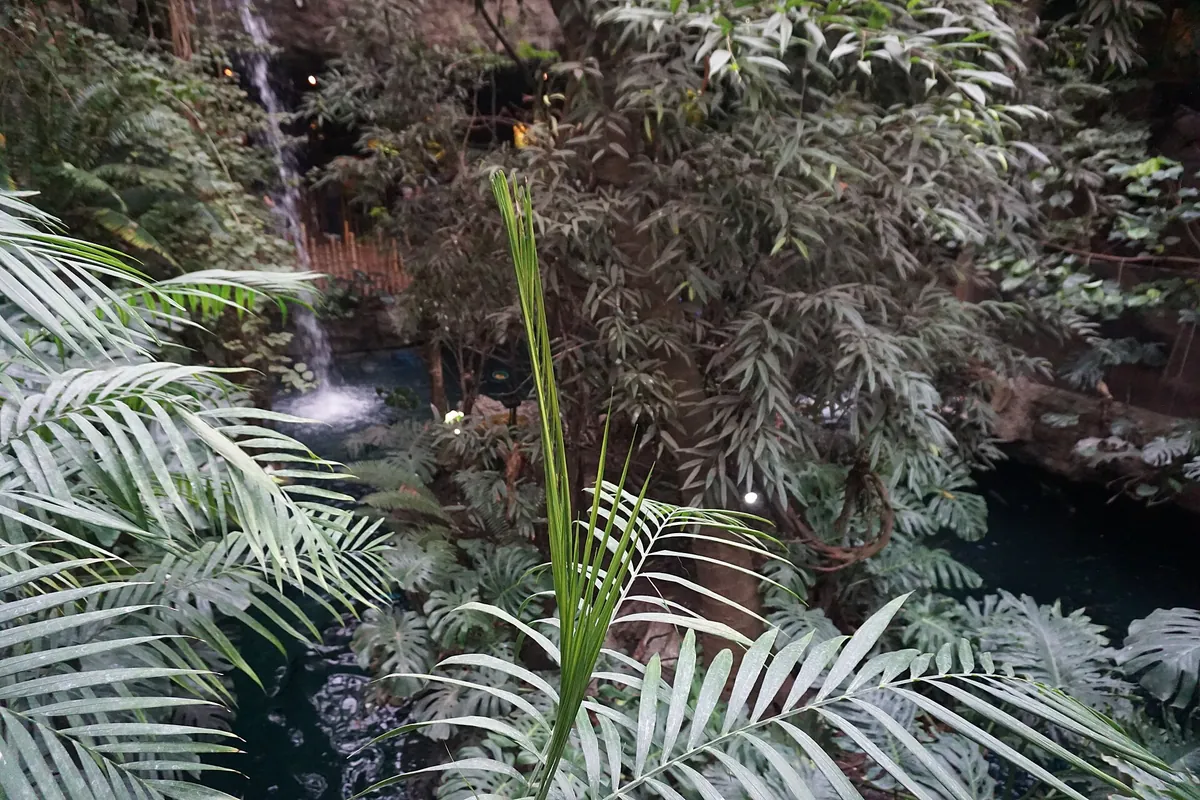 Dallas World Aquarium