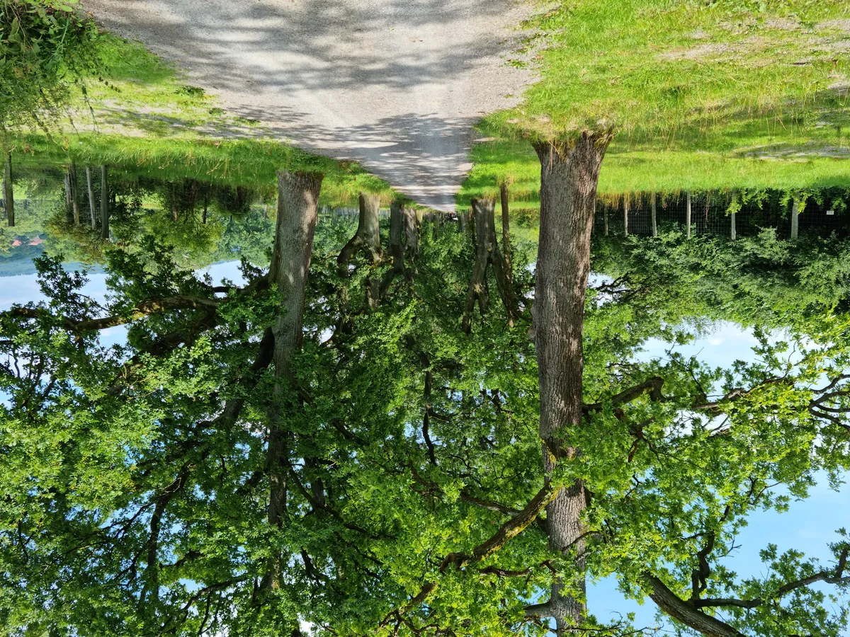 Tierpark Sababurg