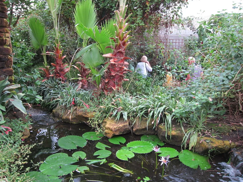 Stratford Butterfly Farm
