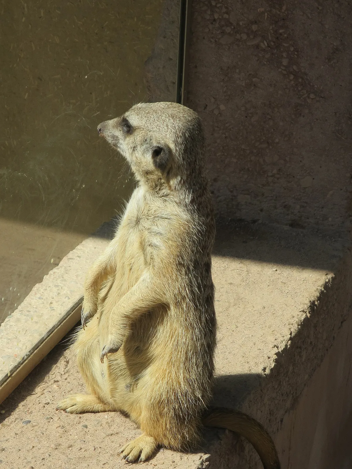 Raritätenzoo Ebbs