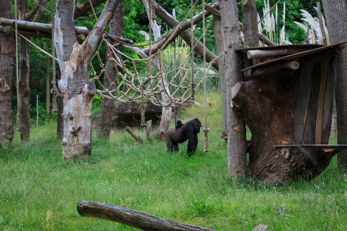 London Zoo
