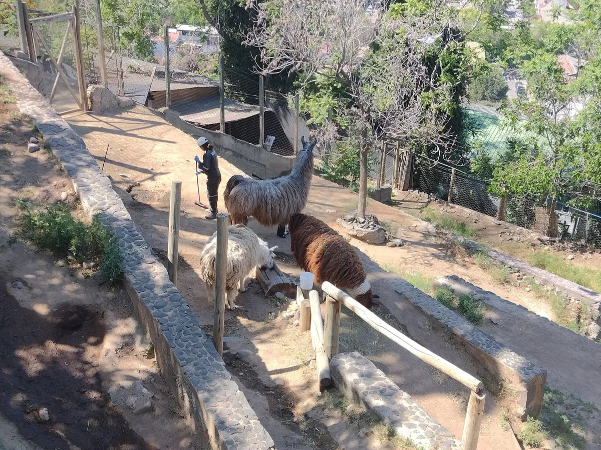 Zoológico Nacional, Parque Metropolitano de Santiago