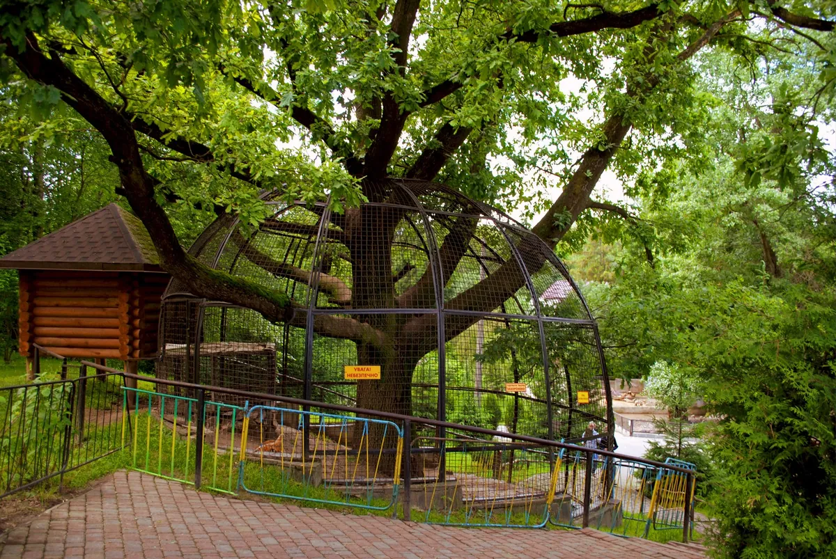 Rivne Zoo