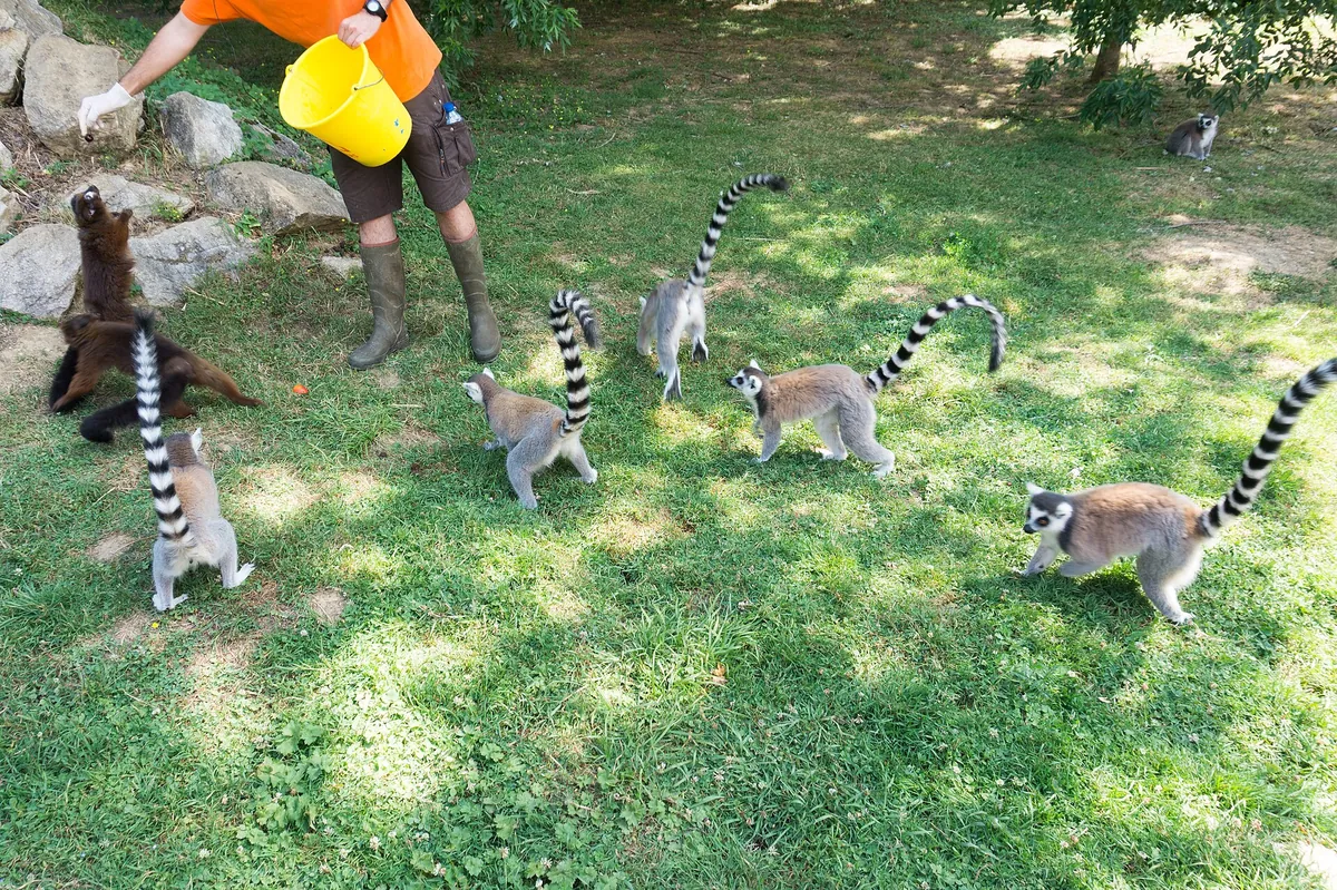 Parc de l'Auxois