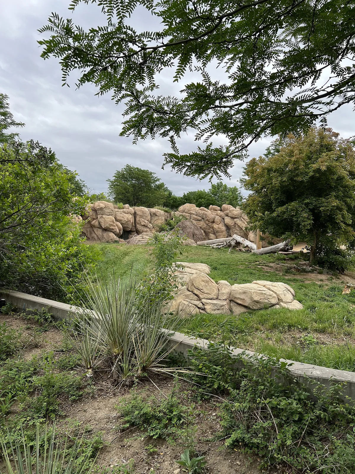 Denver Zoo