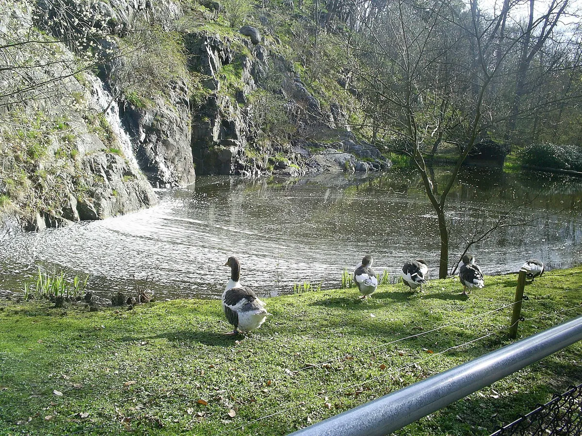 Slottsskogens Djurpark