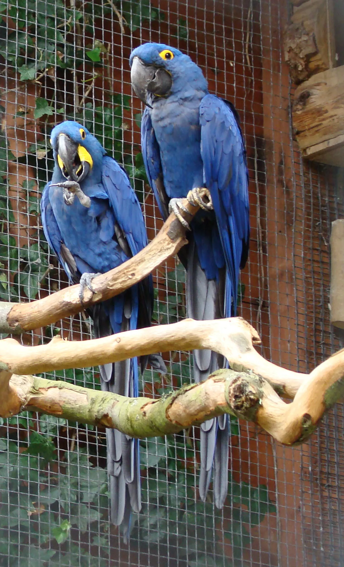 Paradise Wildlife Park