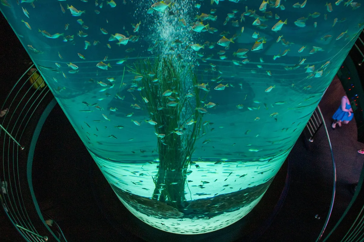 Loro Parque